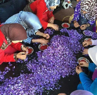 زعفران اصیل